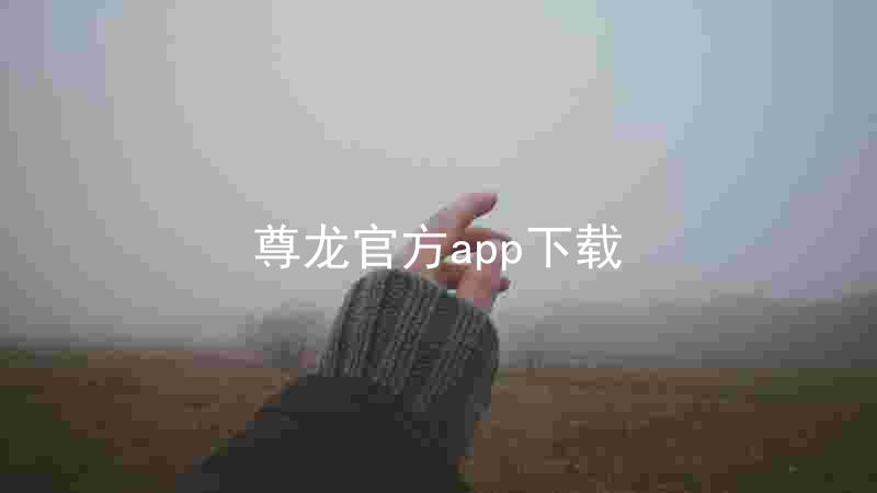 尊龙官方app下载