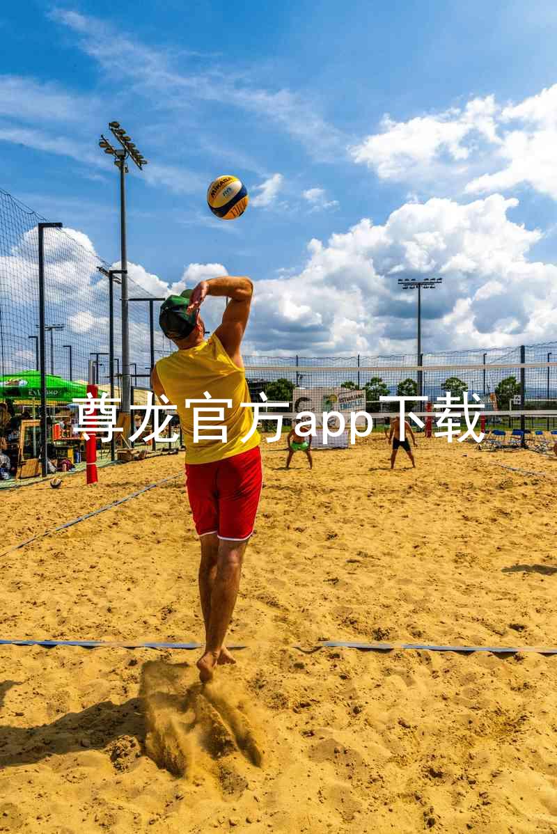 尊龙官方app下载